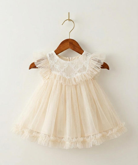 Little girl net frock