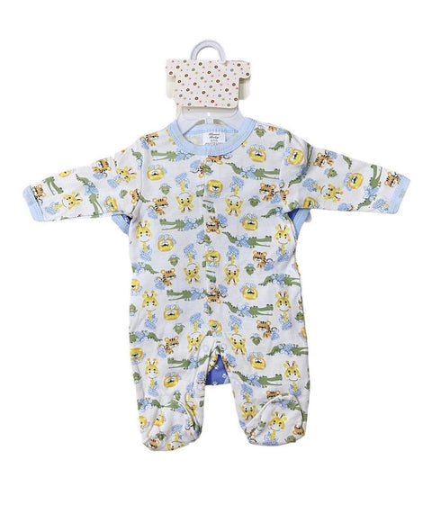 Baby lion starter set