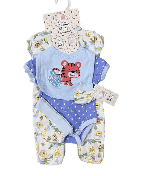 Baby lion starter set