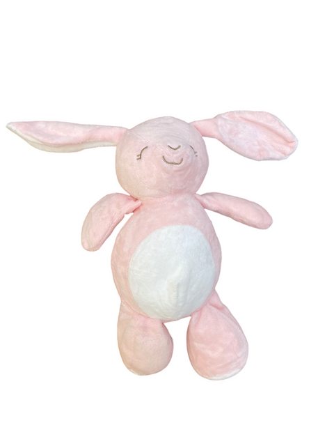 Pink floral balnket with teddy