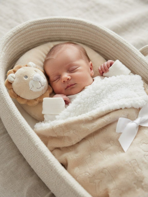 Huggable friend blanket set