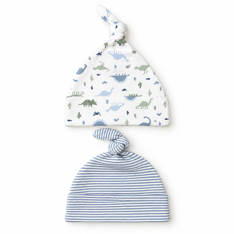 Explorer dino cap set