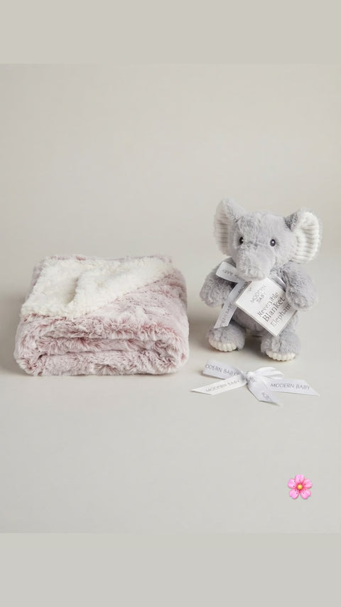 Trunk and treasure set
