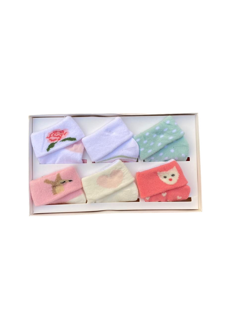 Hudson 6 pcs socks set