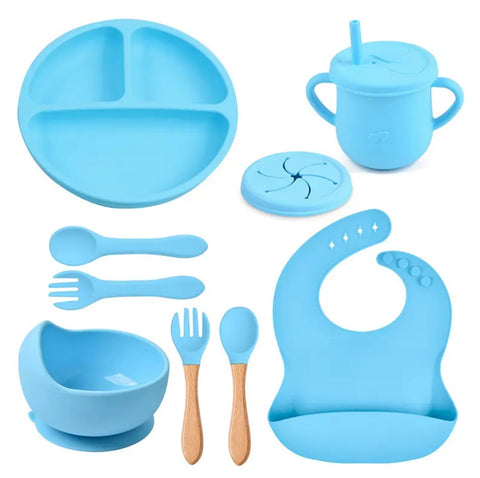 Silicon feeding set