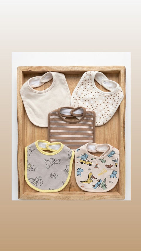 Winnie the Pooh bib set