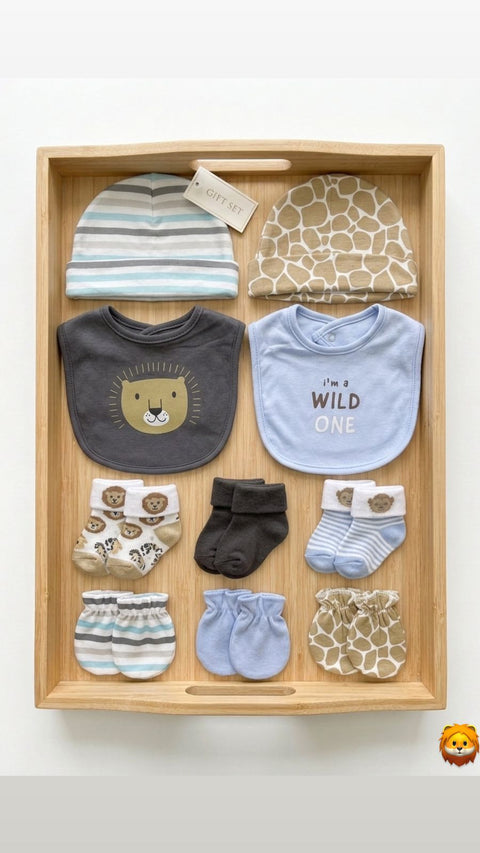 Wild one gift set