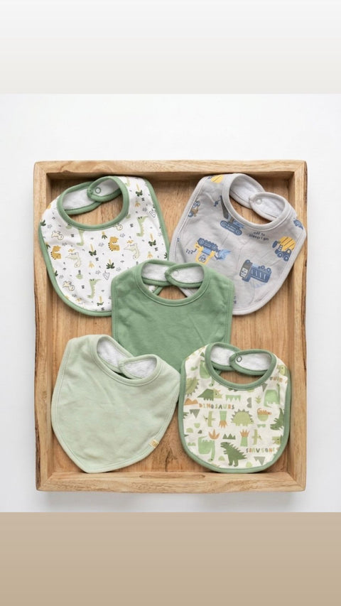 Baby's little adventure bib set