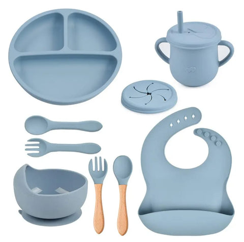 Silicon feeding set