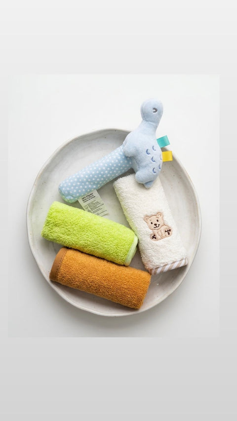 Baby dino Washcloth gift set